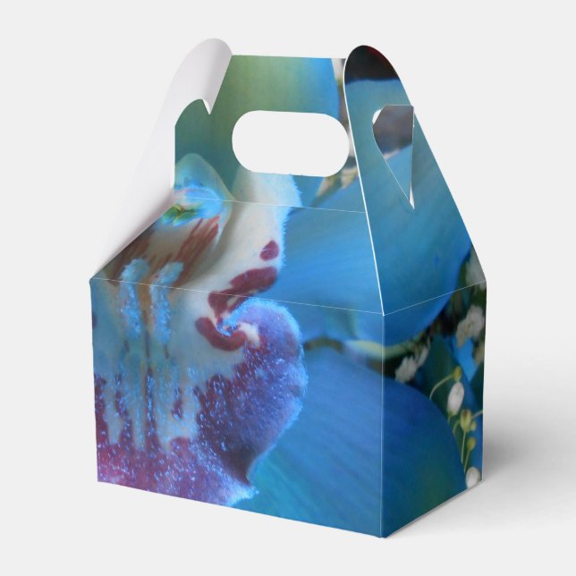 Donella Favor Box (Front Side)