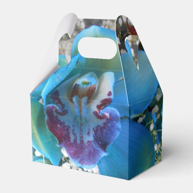 Donella Favor Box (Front Side)
