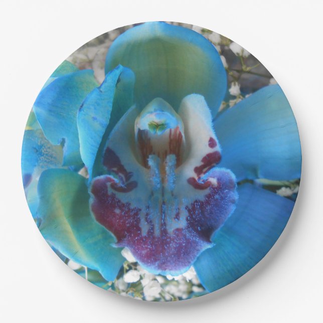 Donella Paper Plate (Front)