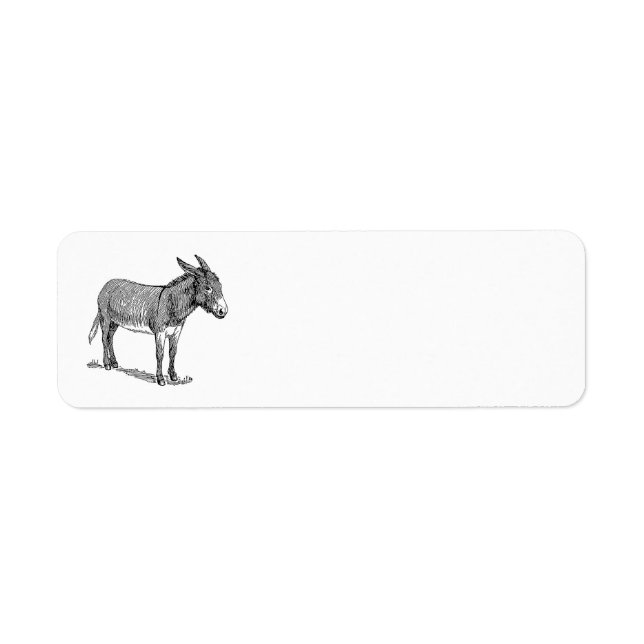Donkey (Front)
