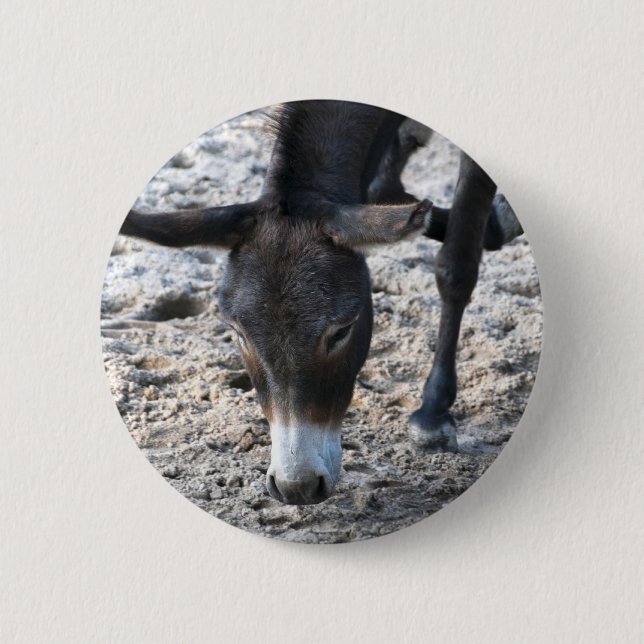 Donkey 2 Inch Round Button (Front)
