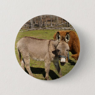 Donkey 2 Inch Round Button