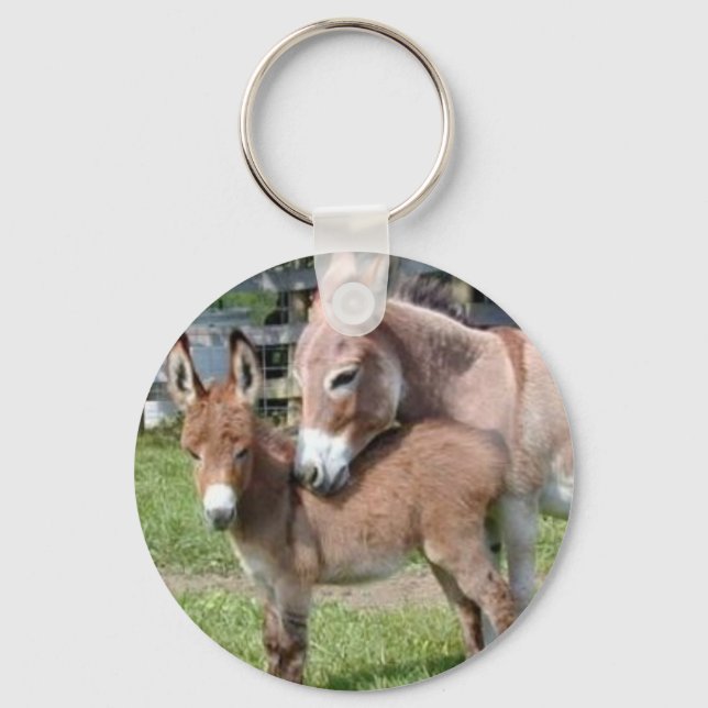Donkey and Baby Keychain (Front)