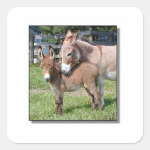 Donkey and Baby Square Sticker