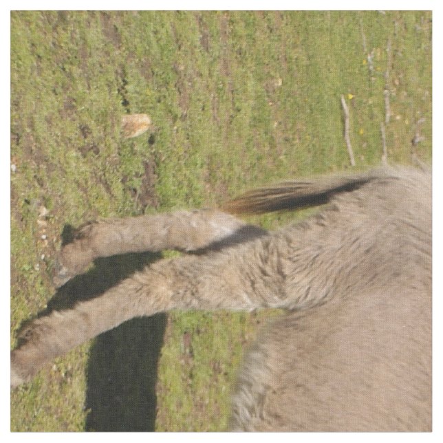 Donkey and Cow Fabric (Close Up)