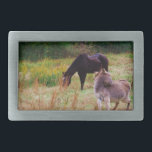 Donkey and horse in a Fall Field. Belt Buckle<br><div class="desc">Donkey and horse in a Fall Field.  Photo by Sandy Closs.  Donkey Autumn,  fall,  farm " farm animals"donkeys ,  burro,  "cute donkey", mule,  jackass</div>