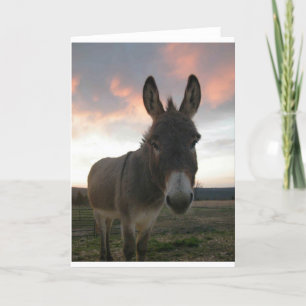 Donkey Art Card