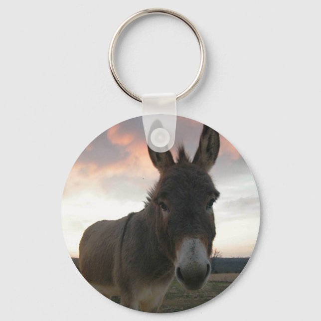 Donkey Art Keychain (Front)