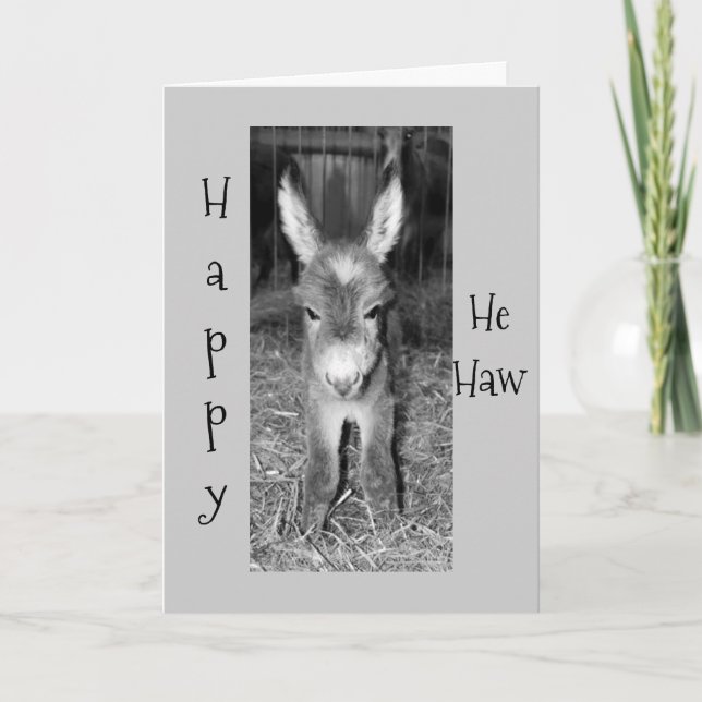 DONKEY BABY SAYS HAPPY "HE HAW" BIRTHDAY TO YOU CARD (Front)