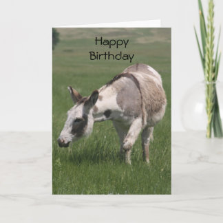 Donkey Birthday Card