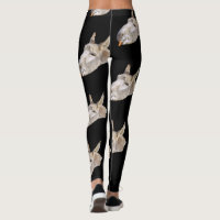Donkey Called Carrots, Black