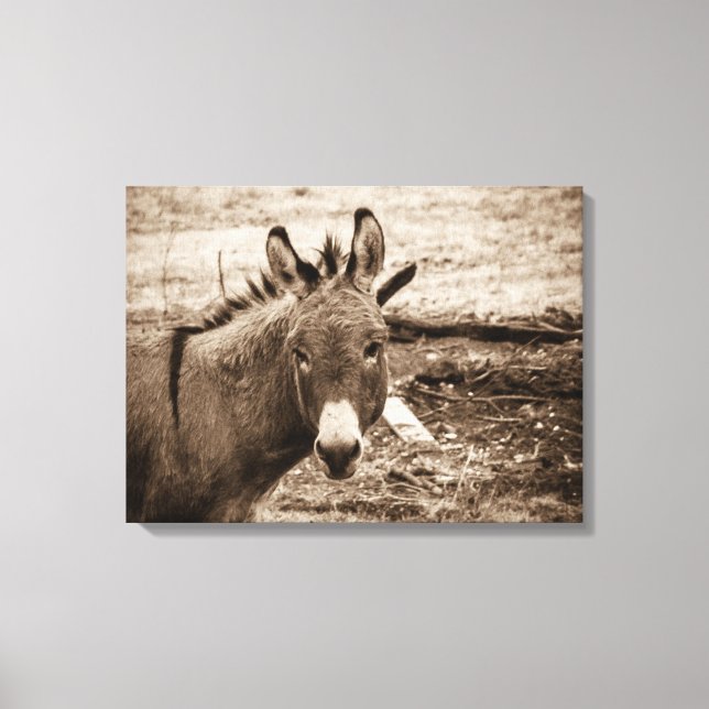 Donkey Canvas Print (Front)