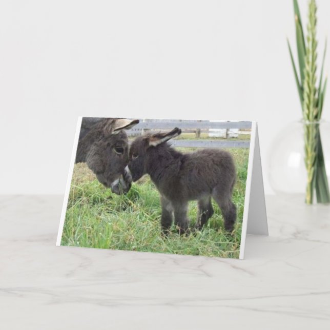 donkey card (Front)