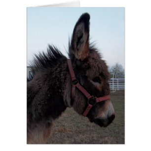 Donkey Card - Customize it!