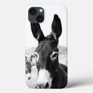Donkey iPhone 13 Case