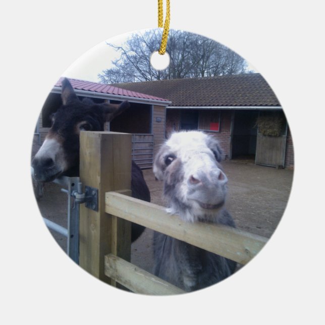 Donkey Ceramic Ornament (Front)
