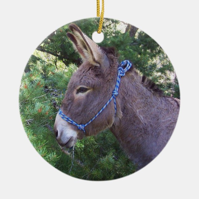 Donkey Ceramic Ornament (Front)