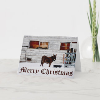 Donkey Christmas Card