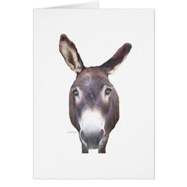 Donkey dans votre visage (Devant)