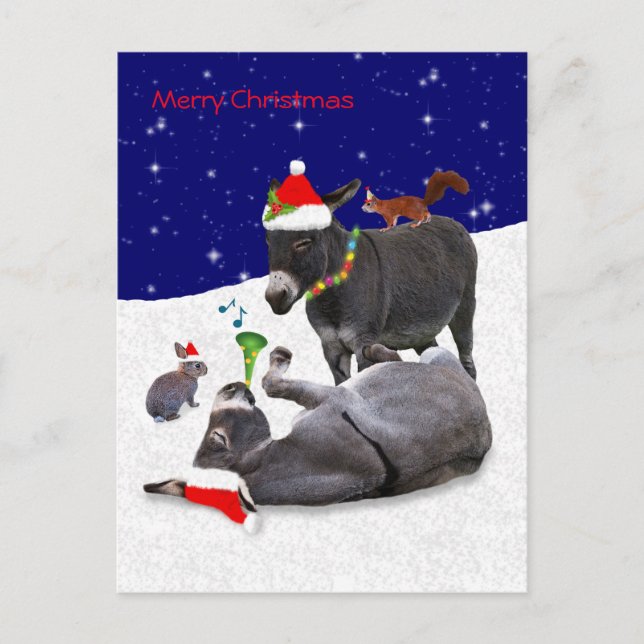 Donkey Daze Postcard (Front)