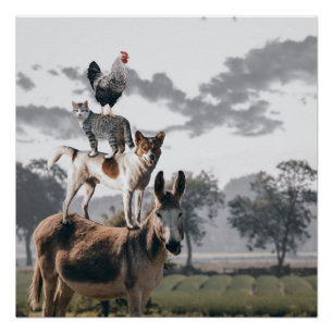 Donkey, Dog, Cat And Rooster Piles Poster