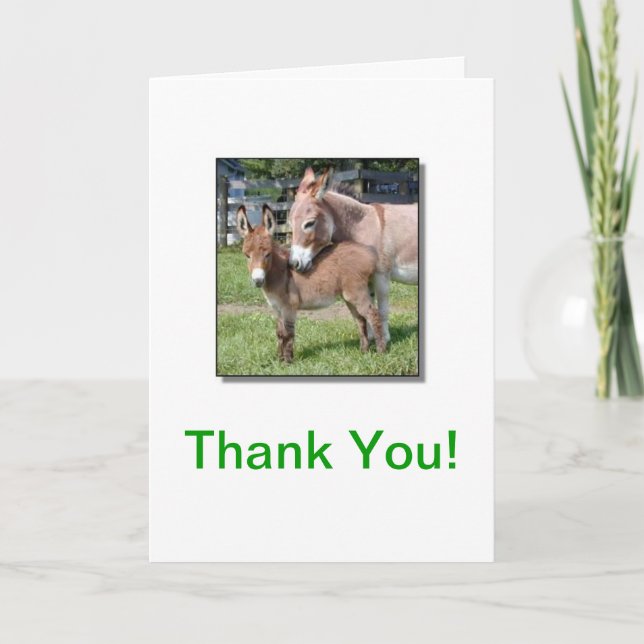 Donkey et Baby Carte de remerciements (Devant)