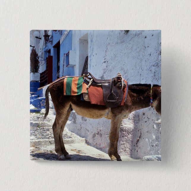 Donkey, Fira Santorini, Greece 2 Inch Square Button (Front)