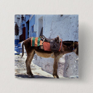 Donkey, Fira Santorini, Greece 2 Inch Square Button