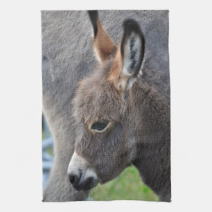 Donkey foal kitchen towel