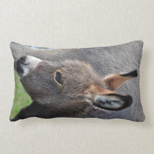 Donkey foal portrait vertical lumbar pillow