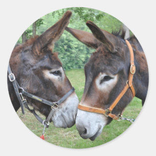 Donkey friends classic round sticker