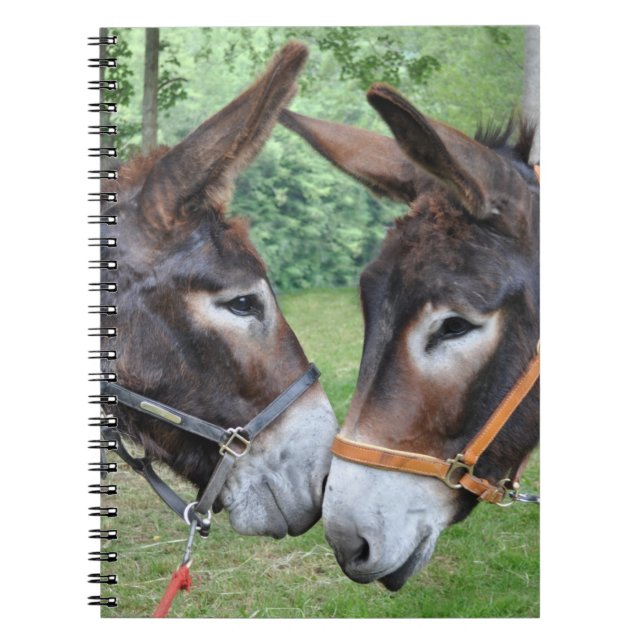 Donkey friends notebook (Front)