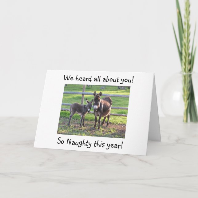 DONKEY HUMOR WHERE YOU-NAUGHTY THIS YEAR HOLIDAY CARD (Front)