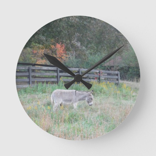 Donkey in a Fall Autumn Field. Round Clock (Front)