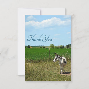 Donkey in a Field Thank You Card