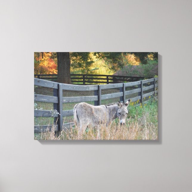 Donkey in an Autumn Field Canvas Print (Front)