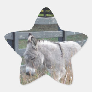 Donkey in an Autumn Field Star Sticker