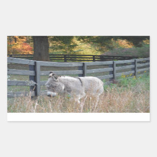 Donkey in an Autumn Field Sticker