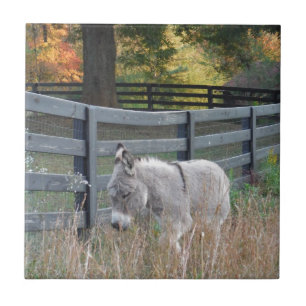 Donkey in an Autumn Field Tile