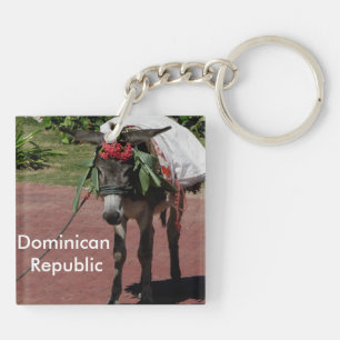 donkey in Dominican Republic Keychain