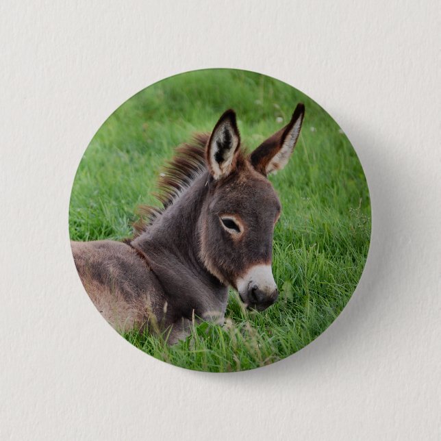 Donkey In The Grass 2 Inch Round Button (Front)