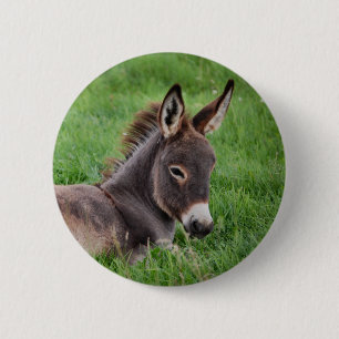 Donkey In The Grass 2 Inch Round Button