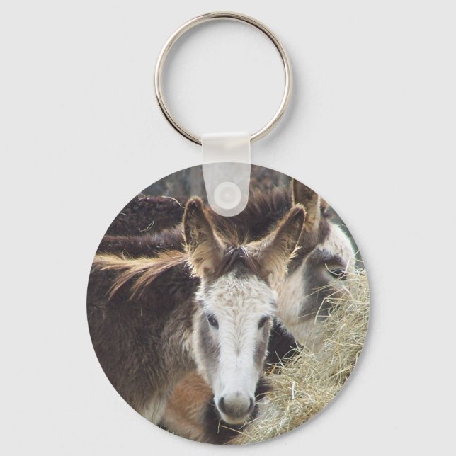 donkey keychain (Front)