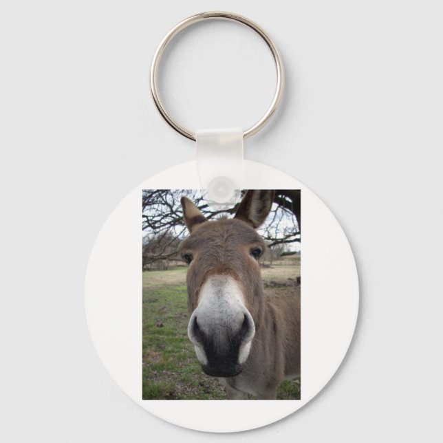 DONKEY KEYCHAIN (Front)