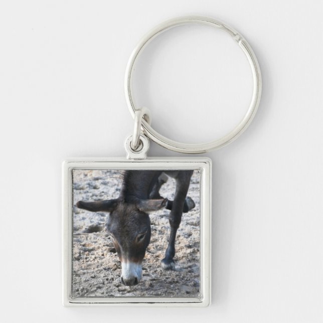 Donkey Keychain (Front)