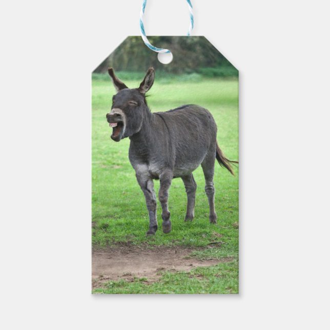 Donkey Laugh Gift Tags (Front)