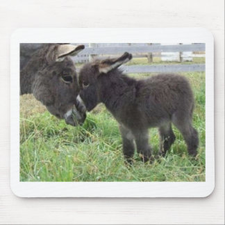 donkey mouse pad