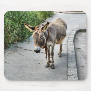 Donkey mousepad