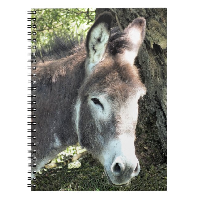 DONKEY  NOTEBOOK (Front)