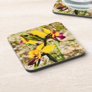 Donkey Orchids Coaster